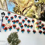 Beachfront - Eaw Homes * Marbella