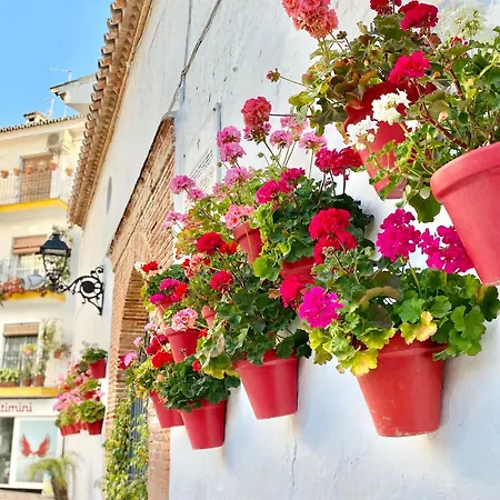 Apartment Beachfront - Eaw Homes Marbella