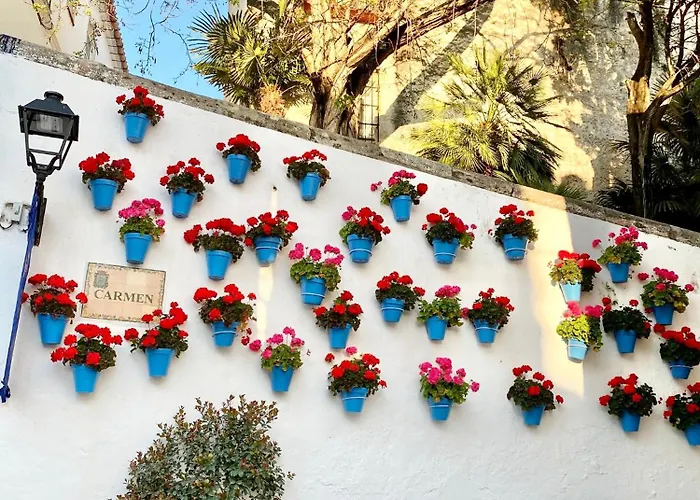 Beachfront - Eaw Homes * Marbella