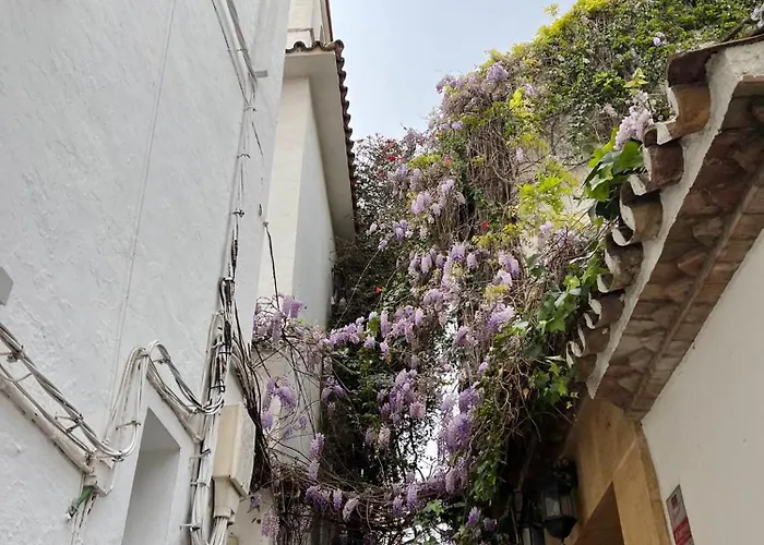 Apartamento Beachfront - Eaw Homes